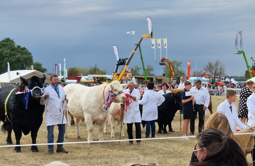 Bucks County Show